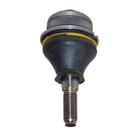 Traggelenk, oben, 38,3 mm, Deutschland