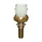 Temperature sensor cooling system 2 pole