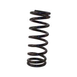 Front suspension spring